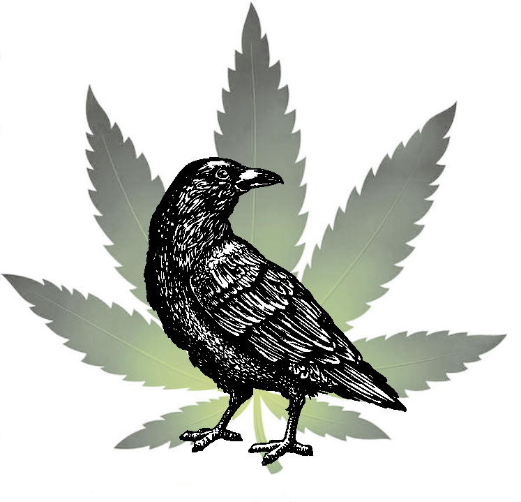 Old Crow Hemp Company