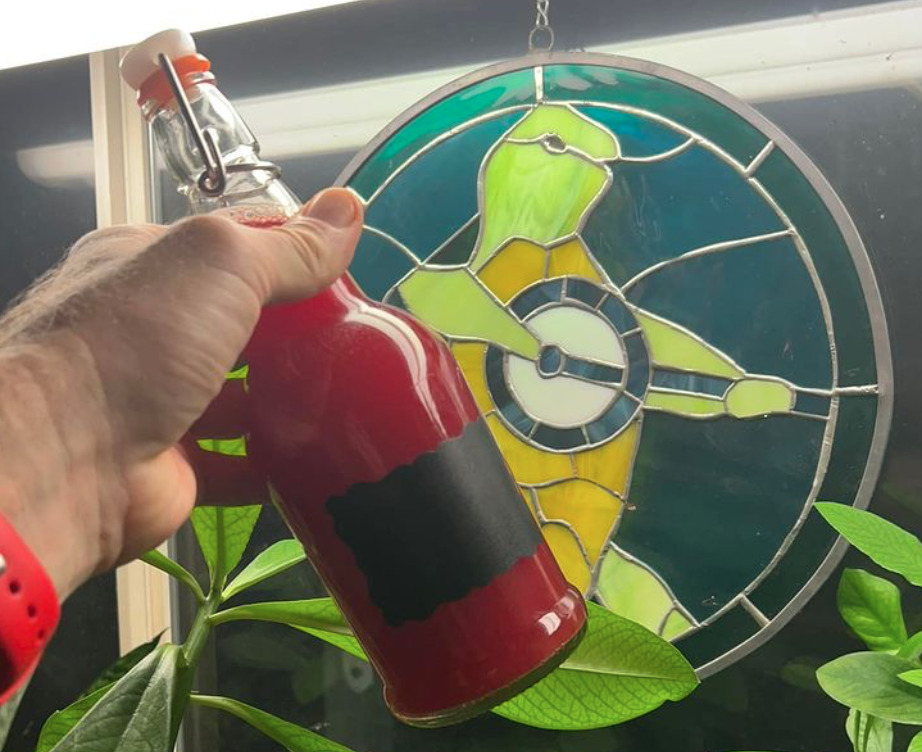 ginger beet lemon kombucha plus terrapin